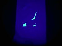 Филин HD люминоскоп